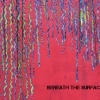 Beneath the Surface