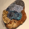 Blue and Gold Lichen