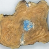Blue and gold