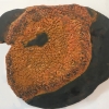 Round Firedot Lichen