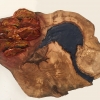 Orange Turkey Tail