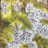 Blue and Black Lichen
