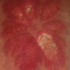 Grapefruit I