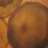 Kiwi I