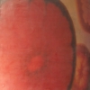 Red Grapefruit