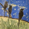 Three Black Birds