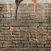Two Birds on a Brick Wall