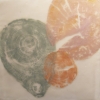 Green, Pink and Orange