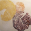 Yellow, Maroon, and Orange
